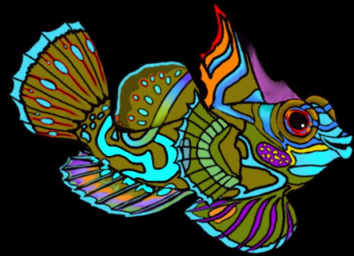 Bright Fish